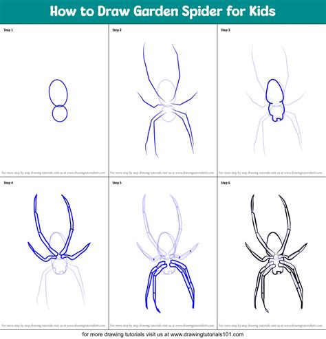 How to draw a spider Step By Step Tutorial for Beginners