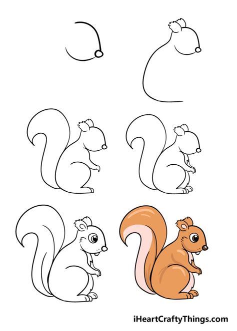 How to draw a squirrel. Inside the ear, draw a few lines for the structure and fur. On the top, right side, draw another arc with lines inside for the squirrel's other ear. Step 8: On either side of the head, draw a line that bulges outward for the cheeks. As you draw the curved cheeks, use a few jagged lines for the fur. 