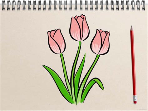 How to draw a tulip. Things To Know About How to draw a tulip. 