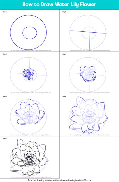 How to draw a water lily and pad Step by step Drawing tutorials