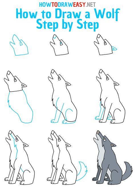 How to draw a wolf (Step by step tutorials for beginners)