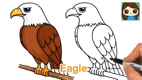 How to draw an Eagle in easy steps for beginners YouTube