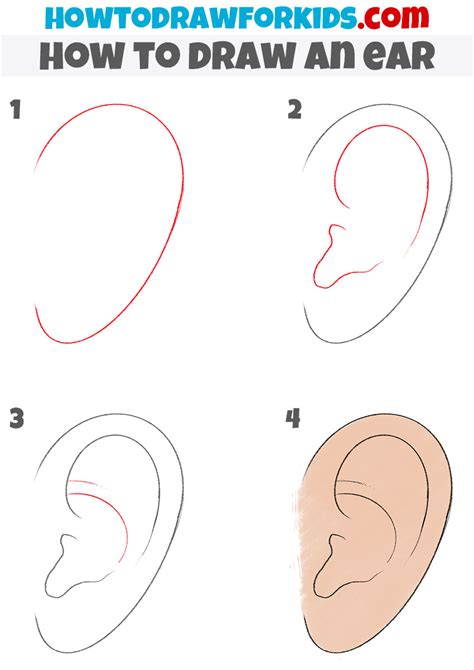 How to draw an Ear Step by Step Ear Drawing Lesson