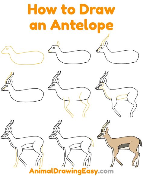 How to draw an antelope EASY step by step YouTube