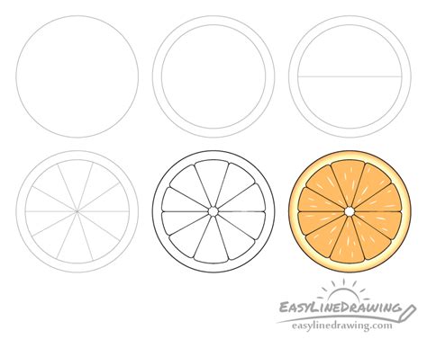 How to draw an orange slice step by step