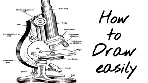 How to draw compound microscope science apparatus compound