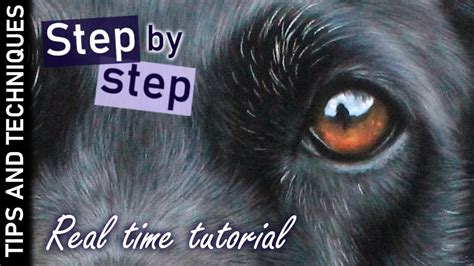 How to draw dog eyes in pastels Step by step Real time tutorial