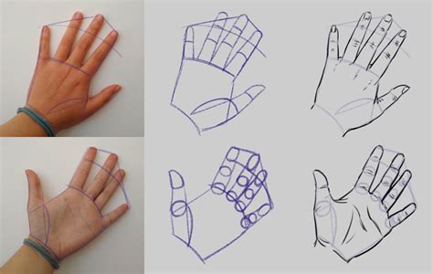 How to draw hand. The width of the wrist is equal to the width of the index, third and forth fingers together. When the thumb is adducted, it forms the triangular shape between the thumb and the hand-block. When you think about how to draw hands more realistically, study the hand gestures in a multitude of gestures by making numerous sketches. 