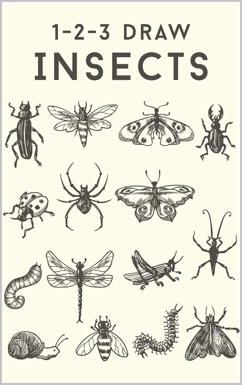 How to draw insects your step by step guide to. - The asset protection guide for florida physicians.