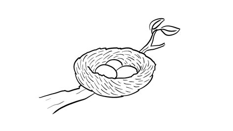 How to draw nest of a bird in the tree with eggs in it very easy nest
