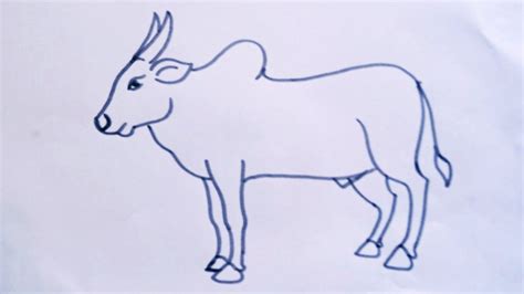 How to draw ox easy/ox(cow) drawing step by step/ox or pull line