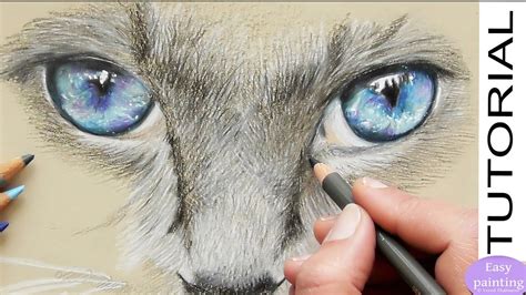 How to draw realistic CAT EYES with Polychromos. Step by step SPEED
