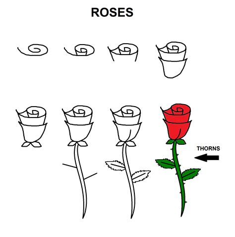 How to draw roses. Roses are such beautiful flowers, and with this how to draw a rose step by step tutorial makes it easy. It is a perfect fit for beginners and makes flower drawing easy. These flowers are actually just a few simple shapes, and you will have roses as a drawing in no time. There is also a printable guide at the end of this tutorial. 