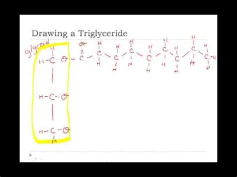 How to draw triglyceride - YouTube