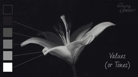 How to draw value in art