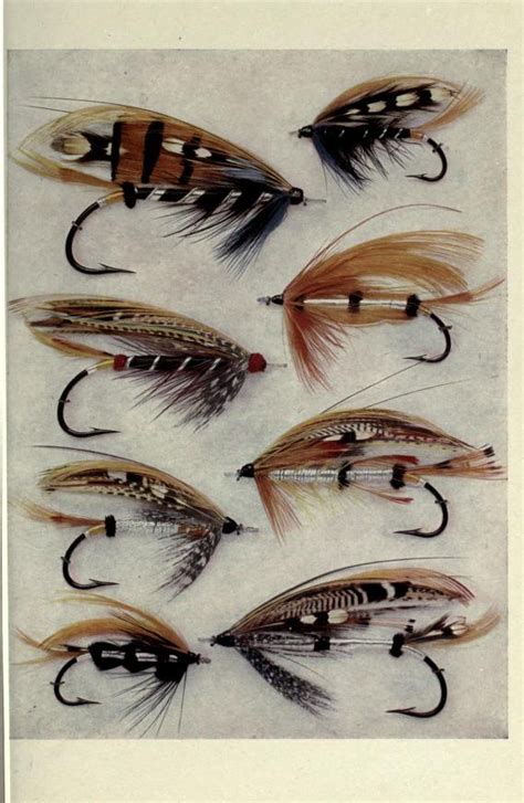 How to dress salmon flies a handbook for amateurs. - A short guide to writing about literature 12th edition.