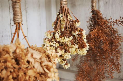 How to dry flowers. Things To Know About How to dry flowers. 