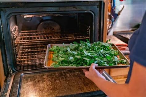 How to dry herbs in an oven