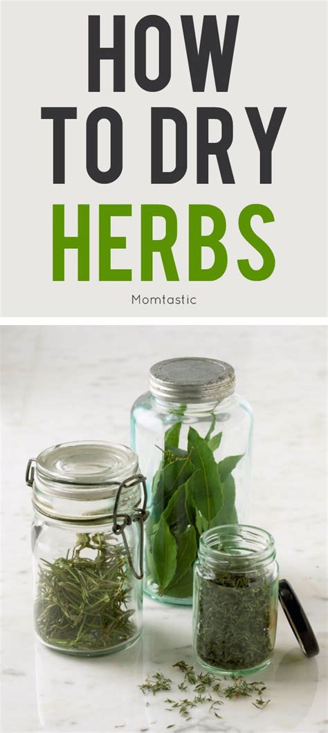 How to dry herbs the ultimate manual on preserving herbs how to dry herbs books preserving herbs drying herbs. - Step by step bond investing a beginners guide to the best investments and safety in the bond market step by.