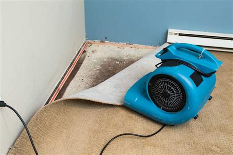 Get a wet vac and get that water out of there. You don't want water standing for a long time. After doing extraction with the shop vac, if you're able, rent a big blower fan, pull up an edge of the carpet, blow air under it for a few days. If you have a dehumidifier, run that too.. 