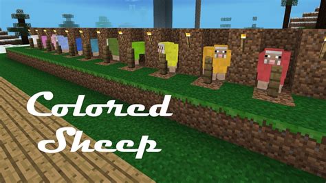 How to dye your sheep in minecraft