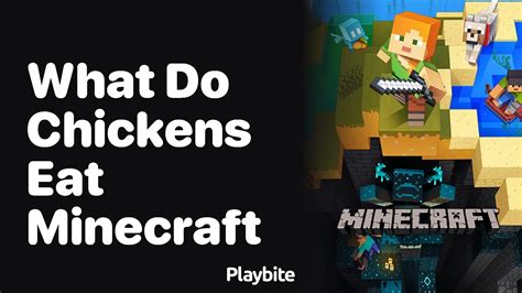 How to eat chicken in minecraft