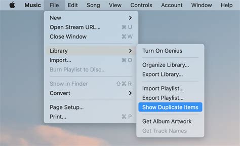 How to eliminate duplicate songs in itunes
