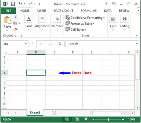How to enter in a excel cell