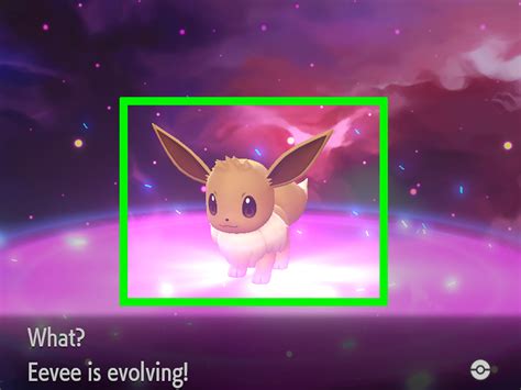 How to evolve eevee in umbreon
