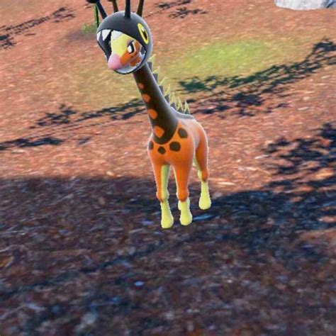 How to evolve girafarig TechStory