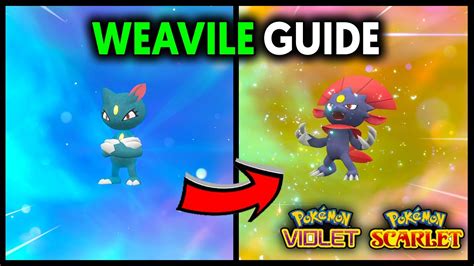 How to evolve sneasel. To develop a Johto from Sneasel into Weavile in Pokémon Legends: Arceus, then, at that point, you need a Razor Claw. However, this time, you want to utilize the Razor Claw on Sneasel around evening time. Weavile additionally shows up in the Space-time Distortions which happen in the Obsidian Fieldlands, so you might observe one with … 