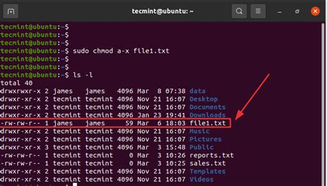 How to execute a file in linux.  In this article, you'll learn how to run ...