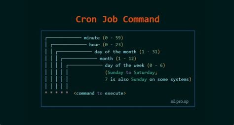 How to execute cron job in linux