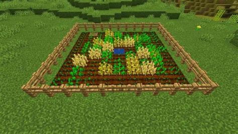 How to farm in minecraft