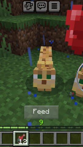 How to feed a ocelot in minecraft