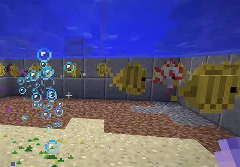 How to feed fish in minecraft