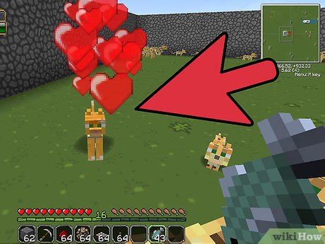 How to feed ocelots in minecraft