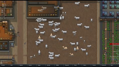 How to start the kibble creation job. To start creating kibble in Rimworld, select either your butcher spot or table and select the 'Add Bill' menu. From there you will see the option to 'Make Kibble' from meat and vegetable products. A colonist assigned to the Cook job will then come by and make the kibble automatically.