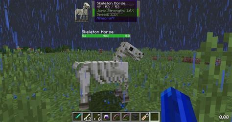 How to feed skeleton horses in minecraft