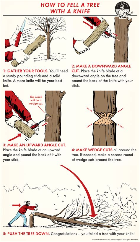 How to fell a tree. Oct 5, 2018 · Felling wedges can then be used during the final cut to assist the tree in beginning to fall. Once the tree starts to fall, you move away from the tree at the aforementioned 45-degree angle as shown in the image. This technique is very safe once learned, but takes some dedicated practice to get it right. 