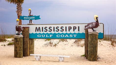 How to file for disability in ms
