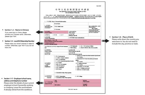 How to fill in china visa form