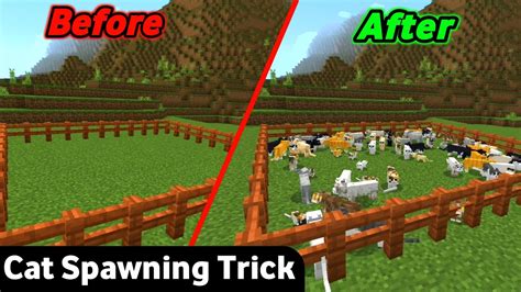 How to find a cat in minecraft