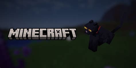 How to find a cat minecraft