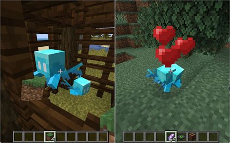 How to find and duplicate Allay in Minecraft 1 19 1 update