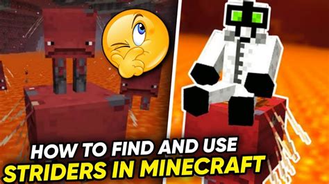 How to find and use striders in Minecraft