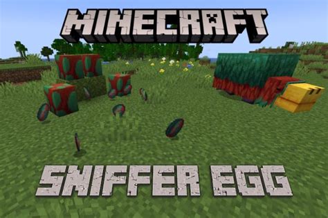 How to find eggs in minecraft