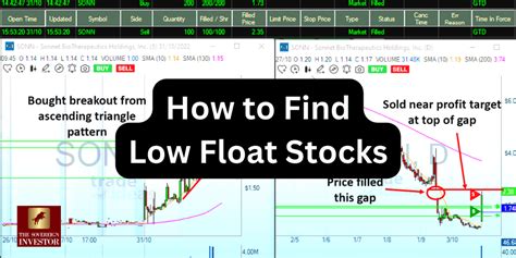 How to find low float stocks. Things To Know About How to find low float stocks. 