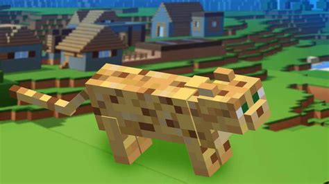 How to find ocelot minecraft