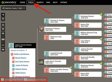 How to find out your ancestry. Once you have entered the information you know, click Find to search for your ancestor’s profile in Family Tree. When the search results appear, click a name to see a summary of that person’s information. Then click on the name in the pop-up window to navigate to the person’s full person page. Try It for Yourself. 